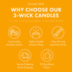 Papaya Paradise 3-Wick Candle