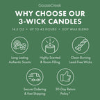 Patchouli Leaves 3-Wick Candle