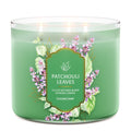 Patchouli Leaves 3-Wick Candle