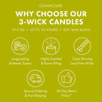 Pistachio Biscotti 3-Wick Candle
