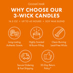 Pumpkin Pistachio Creme 3-Wick Candle