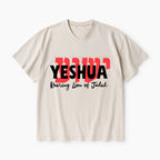 Roaring Lion Of Judah Christian Washed V-Neck T-Shirt