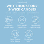 Rocket Power Nickelodeon 3-Wick Candle