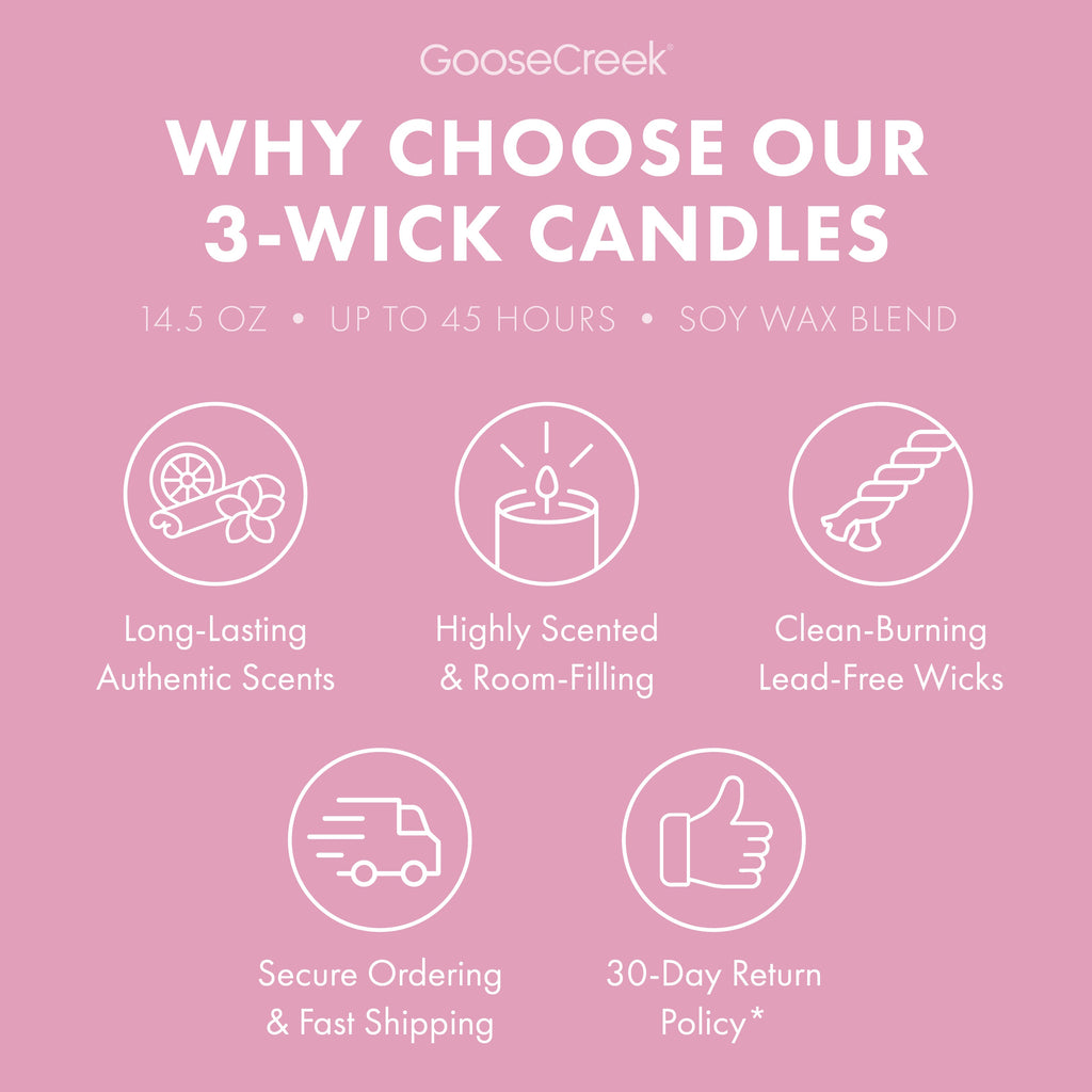 Rocko's Modern Life Nickelodeon 3-Wick Candle