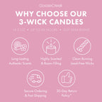 Rocko's Modern Life Nickelodeon 3-Wick Candle