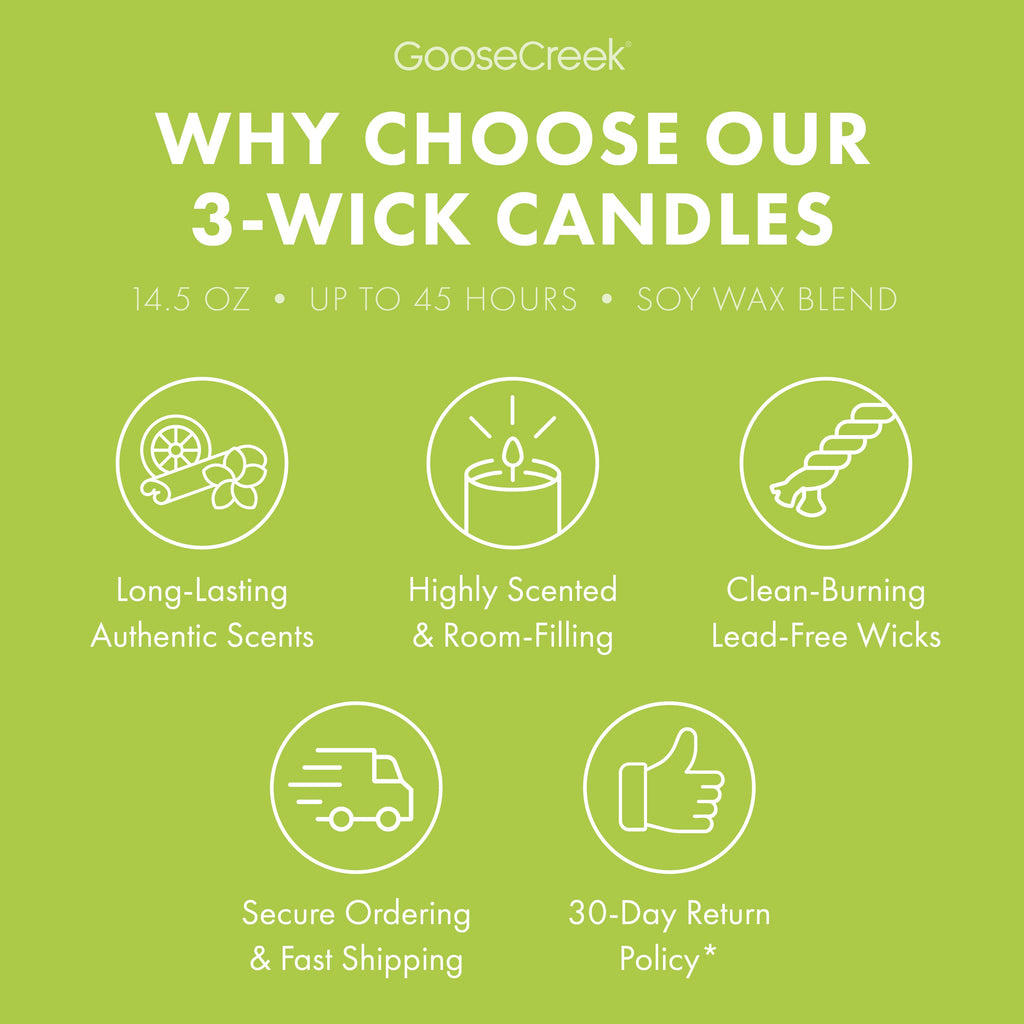 Rugrats Nickelodeon 3-Wick Candle