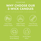 Rugrats Nickelodeon 3-Wick Candle