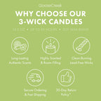 Sea Salt Neroli & Vanilla 3-Wick Candle