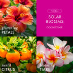Solar Blooms 3-Wick Candle
