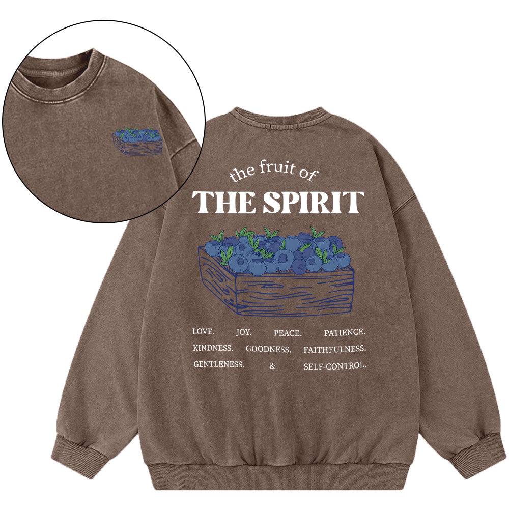 The Spirit Of Fruit Christian Washed Sweatshirt