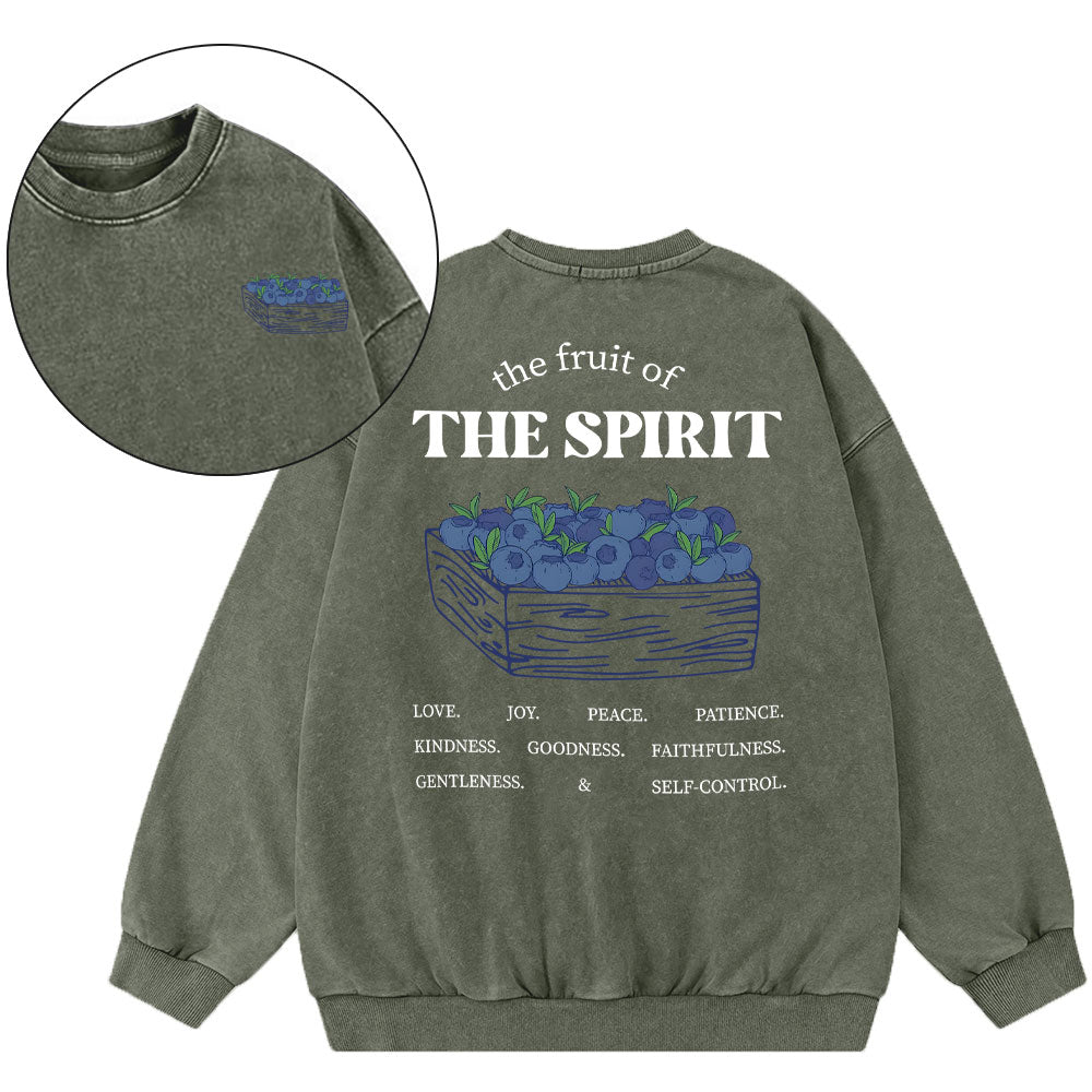 The Spirit Of Fruit Christian Washed Sweatshirt