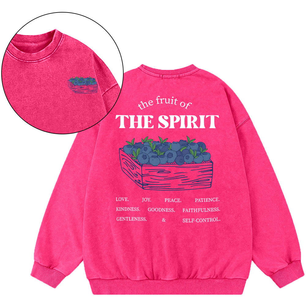 The Spirit Of Fruit Christian Washed Sweatshirt
