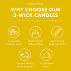 The Wild Thornberry's  Nickelodeon 3-Wick Candle