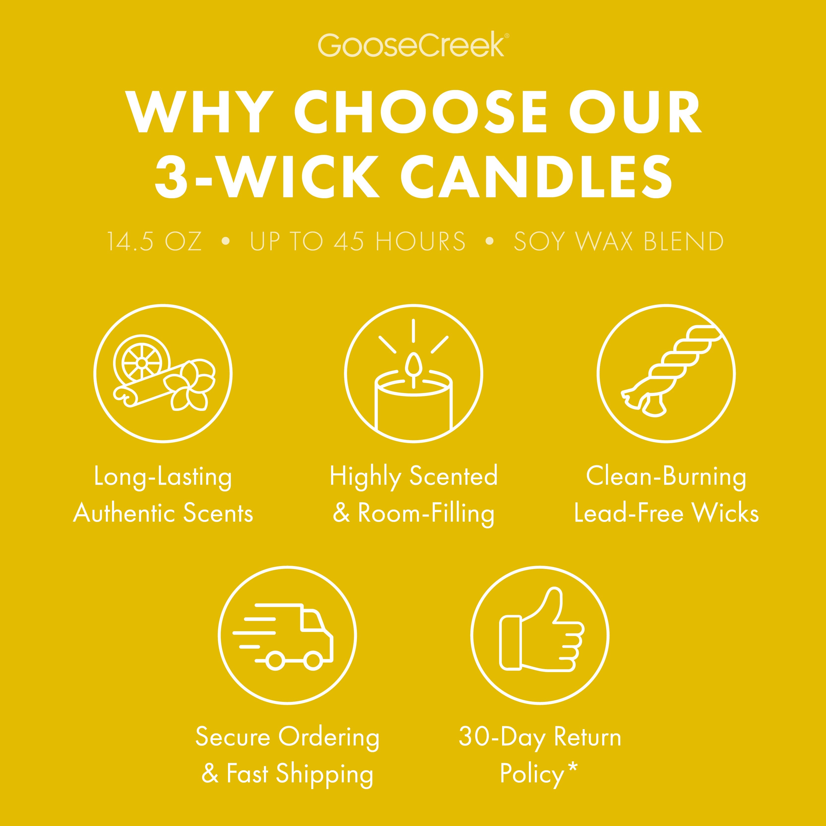 The Wild Thornberry's  Nickelodeon 3-Wick Candle
