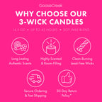 Tropical Daydream 3-Wick Candle