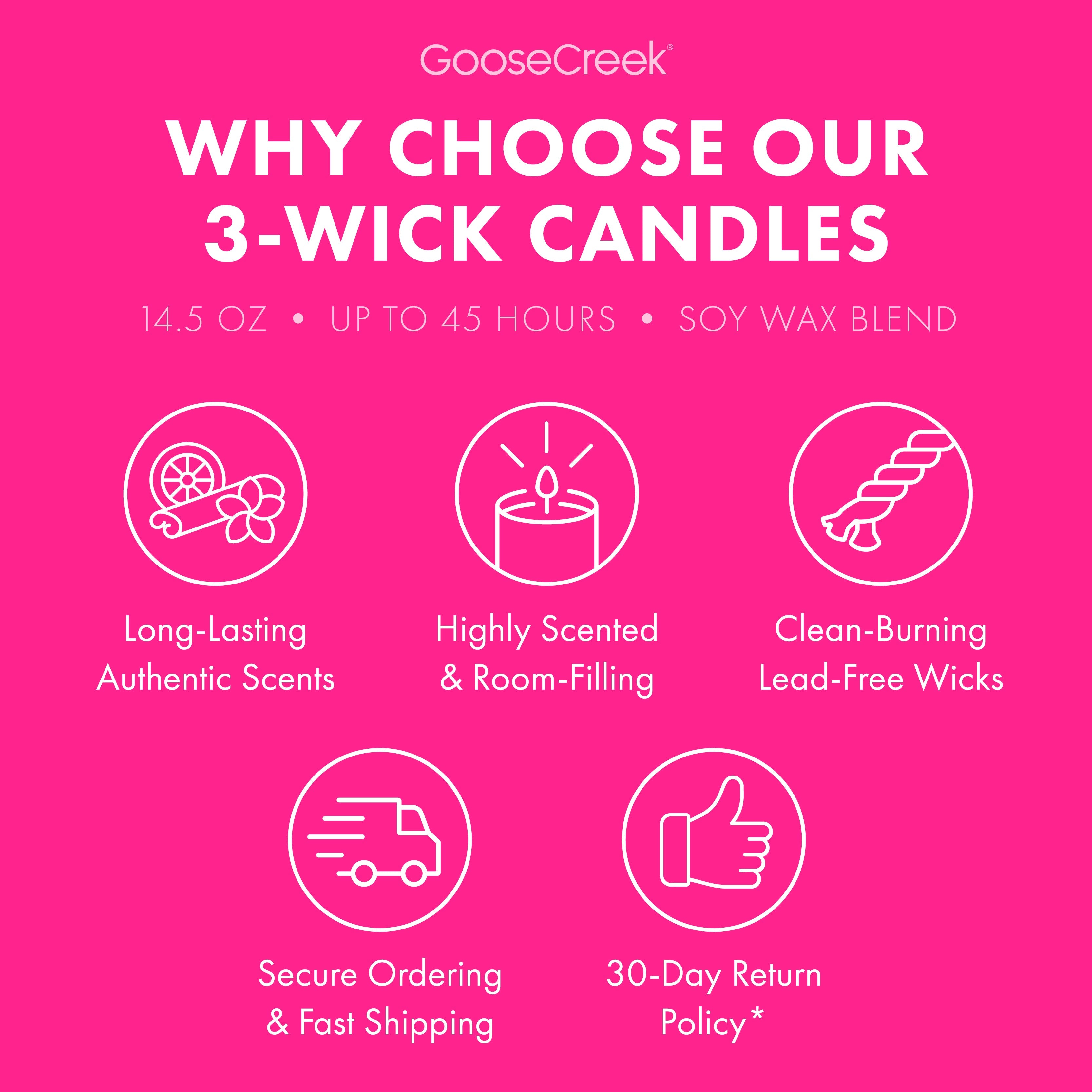 Tropical Daydream 3-Wick Candle