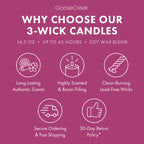 Tuscan Vineyard 3-Wick Candle