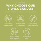 Under the Palms 3-Wick Candle