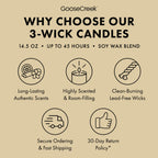 Vanilla Bean 3-Wick Candle