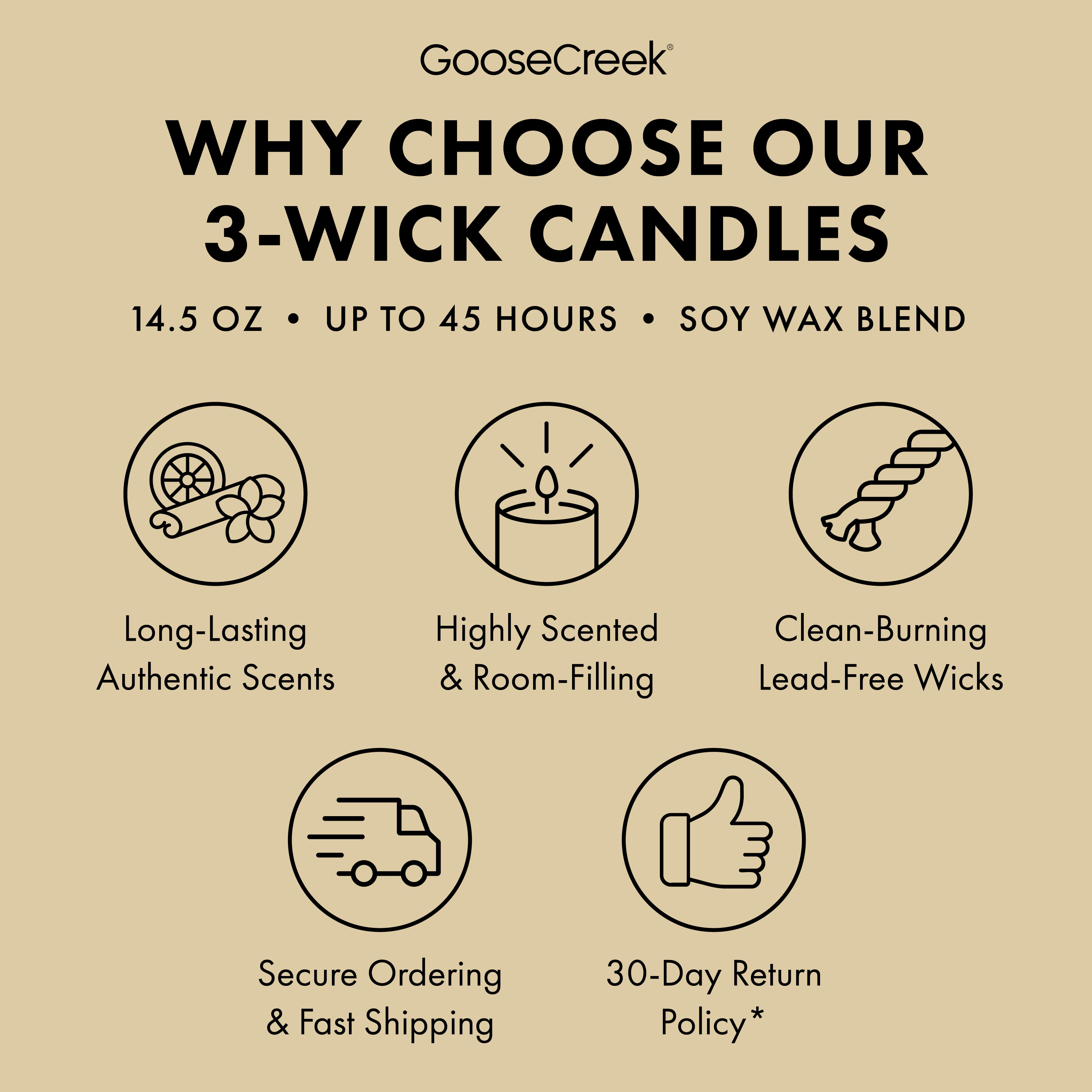 Vanilla Bean 3-Wick Candle