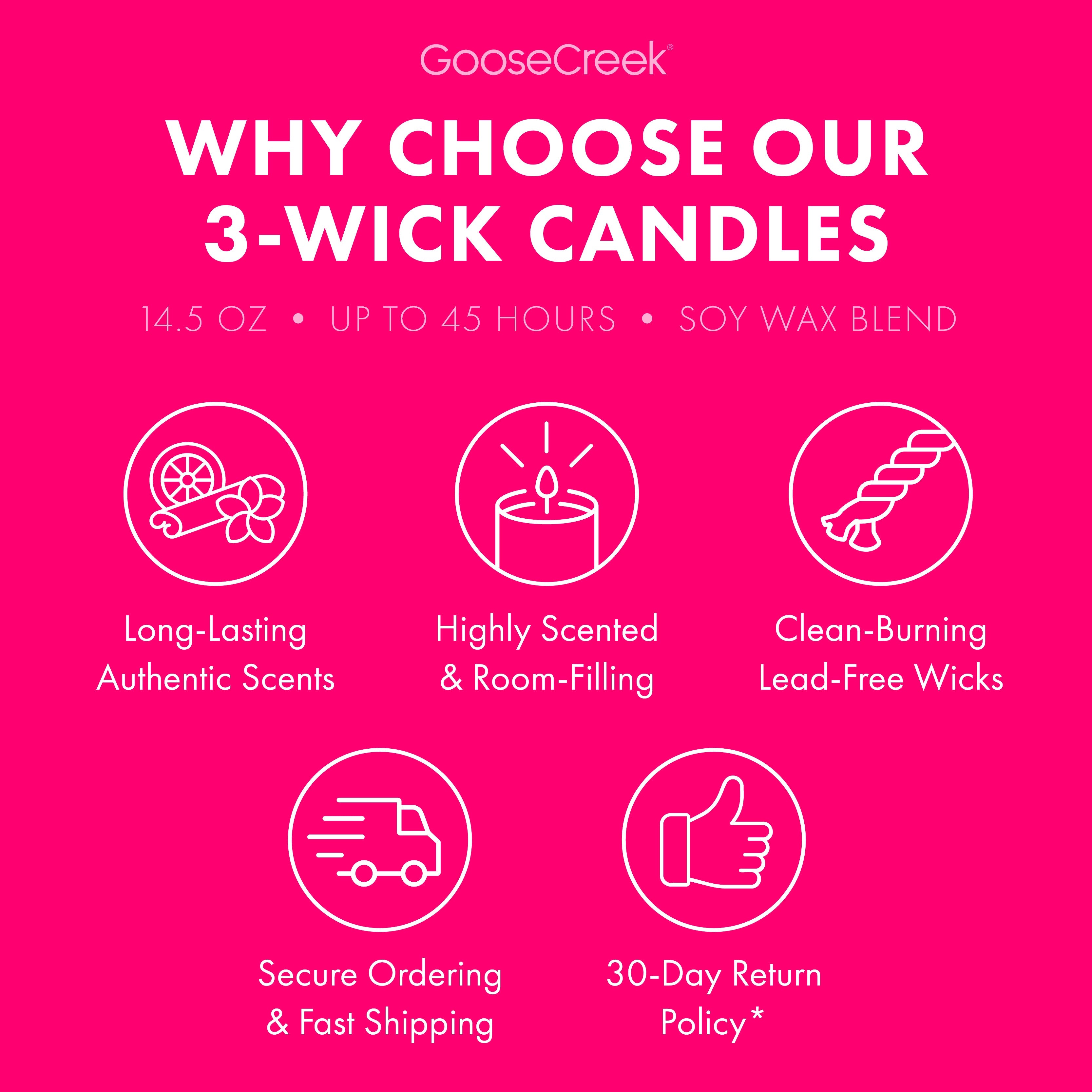 Watermelon Hibiscus 3-Wick Candle