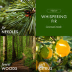 Whispering Fir 3-Wick Candle