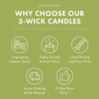 Wild Green Apple Odor Eliminating 3-Wick Candle