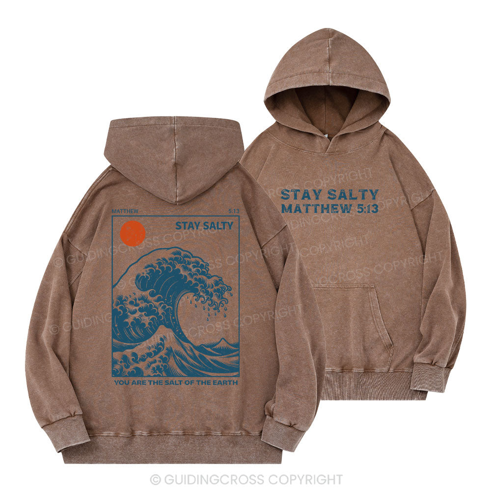 You Are The Salt Of The Earth Christian Washed Hoodie