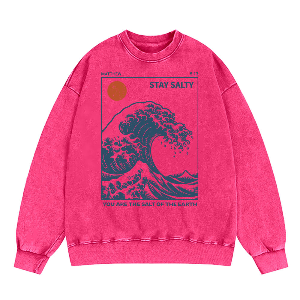 You Are The Salt Of The Earth Christian Washed Sweatshirt