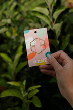 Gold Hexagon Clip