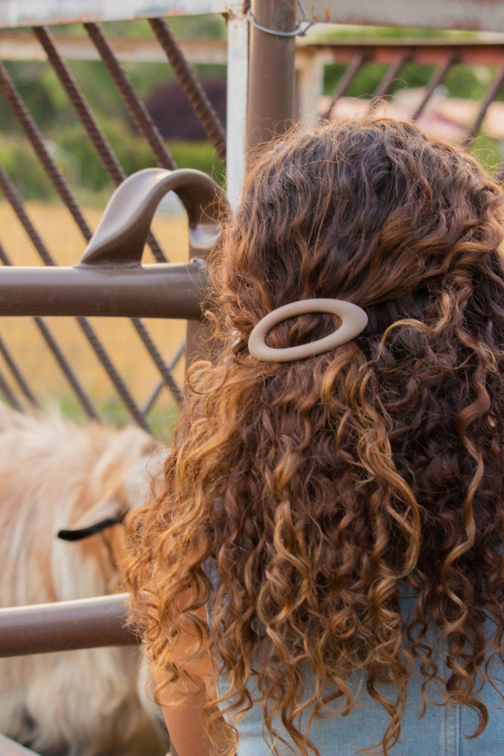 Oval Barrette